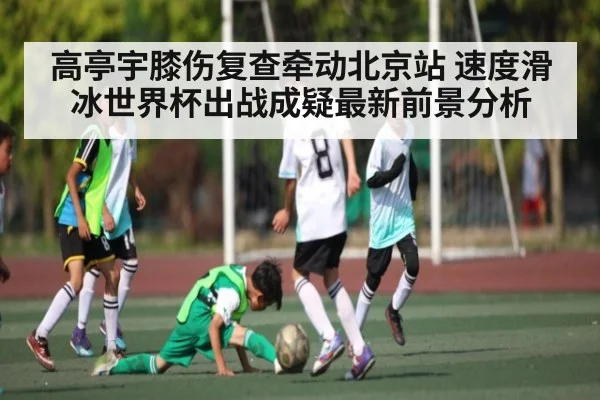 高亭宇膝伤复查牵动北京站 速度滑冰世界杯出战成疑最新前景分析